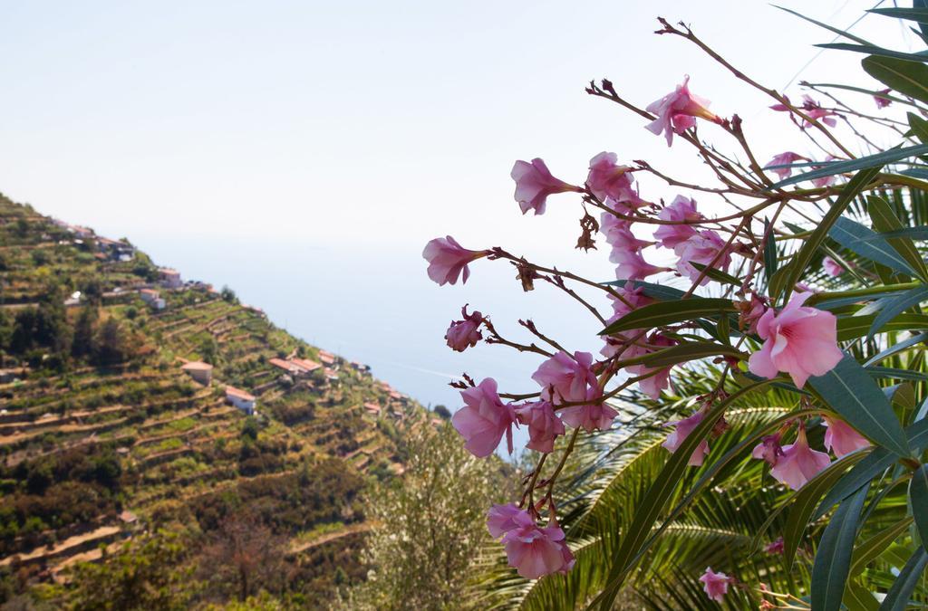 Hotel Il Nettare Riomaggiore Exterior foto