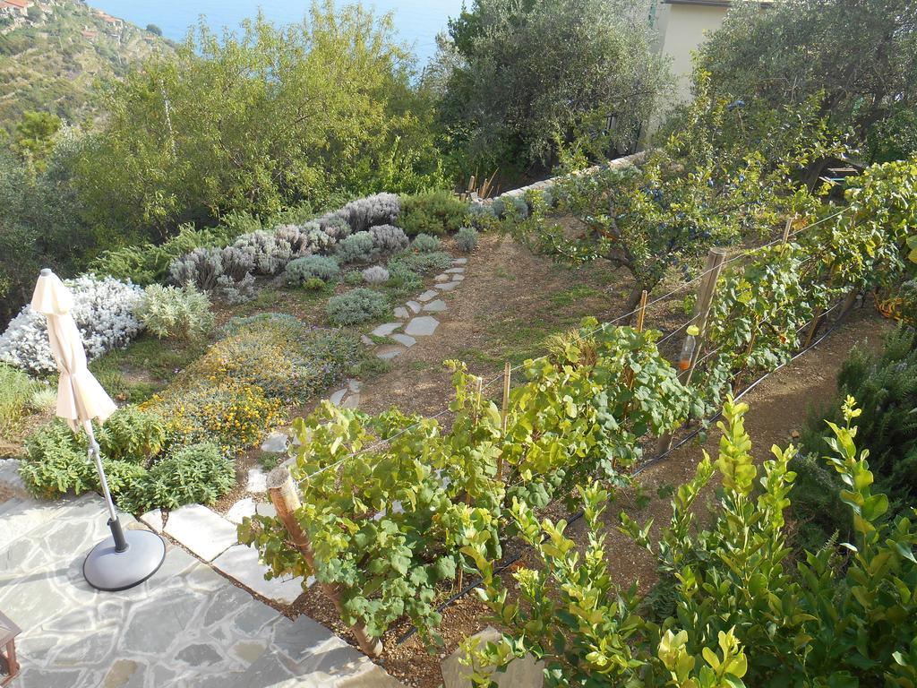 Hotel Il Nettare Riomaggiore Exterior foto